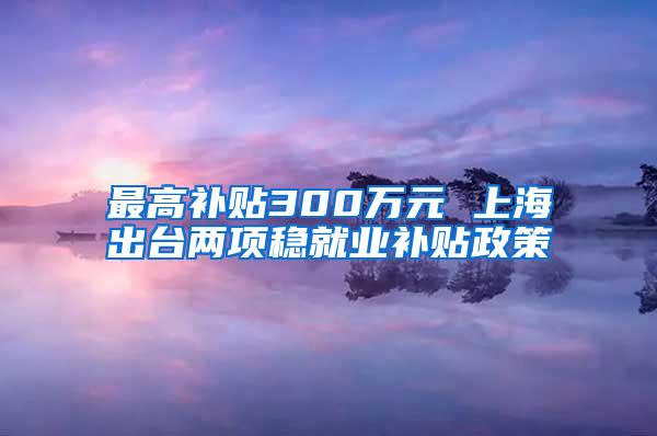 最高补贴300万元 上海出台两项稳就业补贴政策