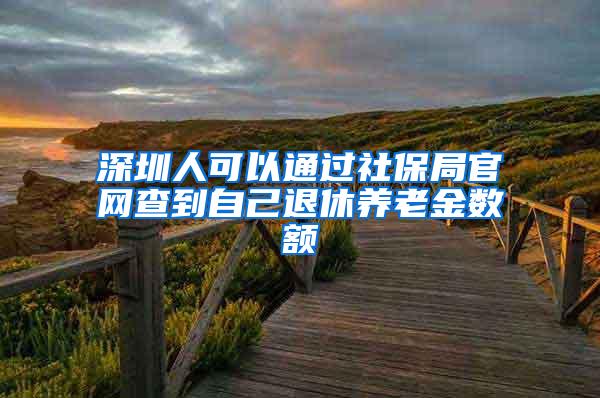 深圳人可以通过社保局官网查到自己退休养老金数额