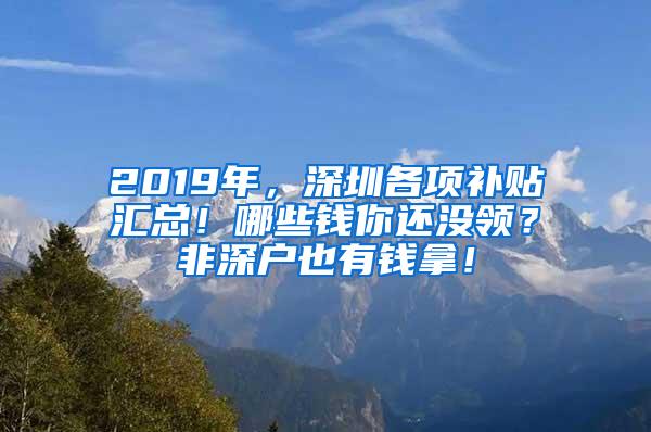 2019年，深圳各项补贴汇总！哪些钱你还没领？非深户也有钱拿！