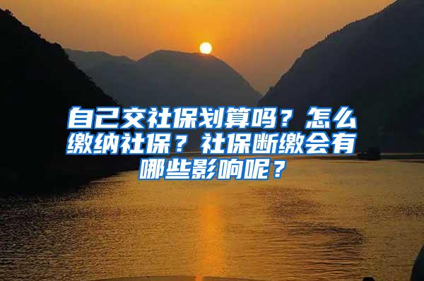 自己交社保划算吗？怎么缴纳社保？社保断缴会有哪些影响呢？