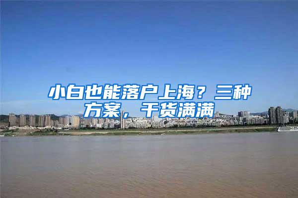 小白也能落户上海？三种方案，干货满满