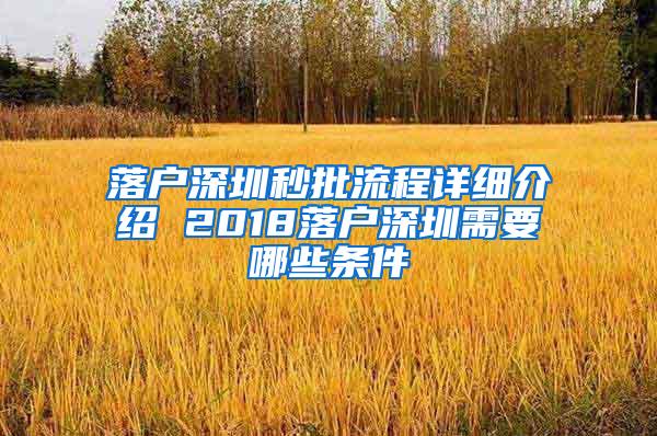 落户深圳秒批流程详细介绍 2018落户深圳需要哪些条件