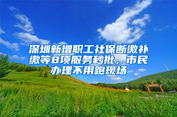 深圳新增职工社保断缴补缴等8项服务秒批，市民办理不用跑现场