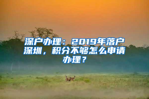 深户办理：2019年落户深圳，积分不够怎么申请办理？