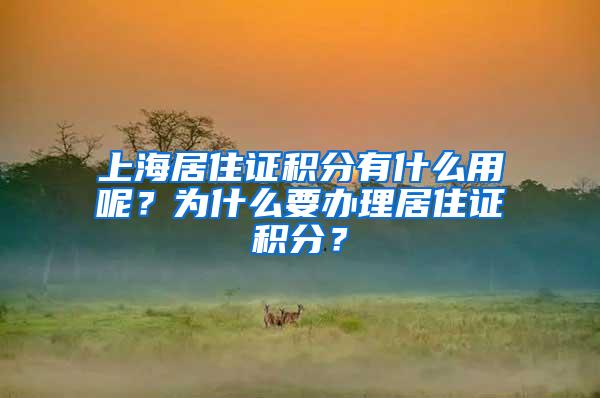 上海居住证积分有什么用呢？为什么要办理居住证积分？