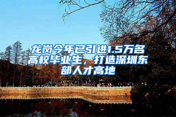 龙岗今年已引进1.5万名高校毕业生，打造深圳东部人才高地