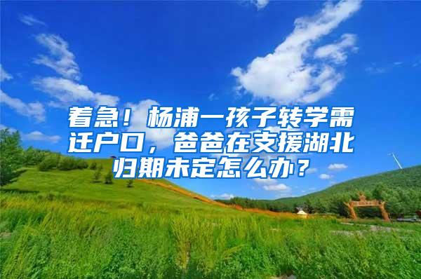 着急！杨浦一孩子转学需迁户口，爸爸在支援湖北归期未定怎么办？