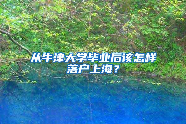 从牛津大学毕业后该怎样落户上海？