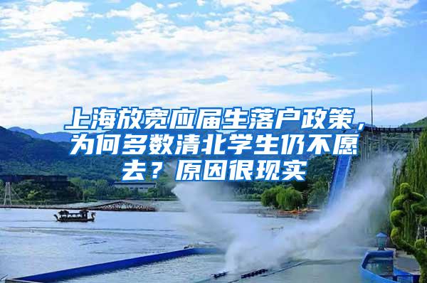 上海放宽应届生落户政策，为何多数清北学生仍不愿去？原因很现实