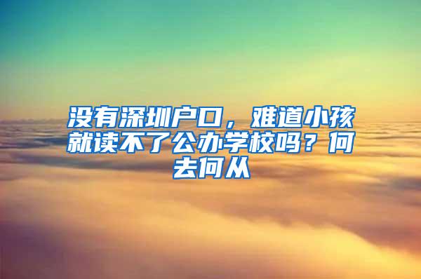 没有深圳户口，难道小孩就读不了公办学校吗？何去何从