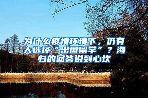 为什么疫情环境下，仍有人选择“出国留学”？海归的回答说到心坎