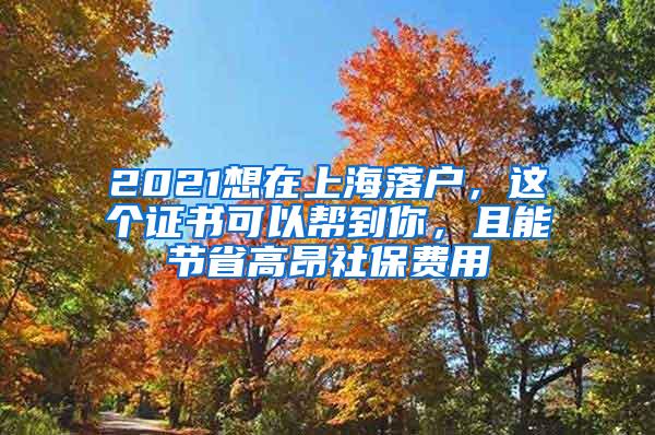 2021想在上海落户，这个证书可以帮到你，且能节省高昂社保费用