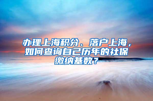 办理上海积分、落户上海，如何查询自己历年的社保缴纳基数？