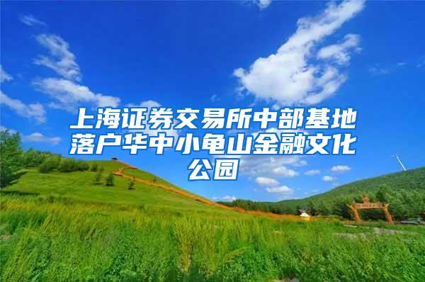 上海证券交易所中部基地落户华中小龟山金融文化公园