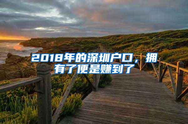 2018年的深圳户口，拥有了便是赚到了