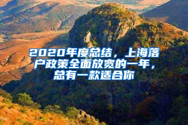 2020年度总结，上海落户政策全面放宽的一年，总有一款适合你