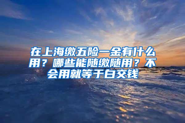 在上海缴五险一金有什么用？哪些能随缴随用？不会用就等于白交钱