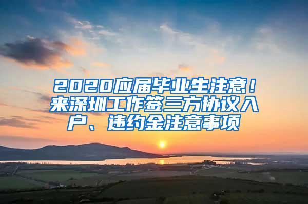 2020应届毕业生注意！来深圳工作签三方协议入户、违约金注意事项