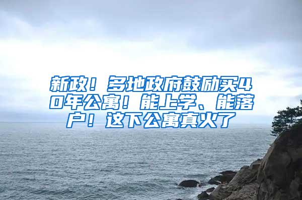 新政！多地政府鼓励买40年公寓！能上学、能落户！这下公寓真火了