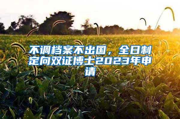 不调档案不出国，全日制定向双证博士2023年申请