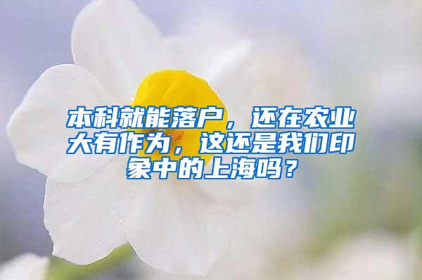 本科就能落户，还在农业大有作为，这还是我们印象中的上海吗？