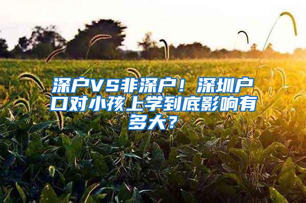 深户VS非深户！深圳户口对小孩上学到底影响有多大？