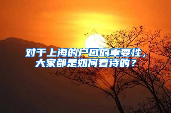 对于上海的户口的重要性，大家都是如何看待的？