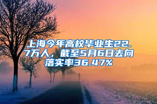 上海今年高校毕业生22.7万人，截至5月6日去向落实率36.47%