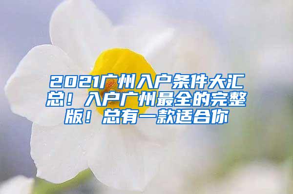 2021广州入户条件大汇总！入户广州最全的完整版！总有一款适合你