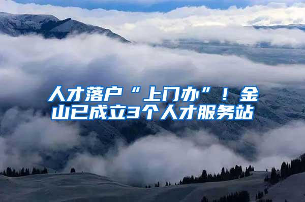 人才落户“上门办”！金山已成立3个人才服务站