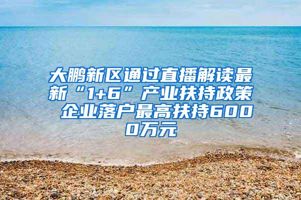 大鹏新区通过直播解读最新“1+6”产业扶持政策 企业落户最高扶持6000万元