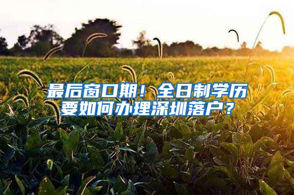 最后窗口期！全日制学历要如何办理深圳落户？