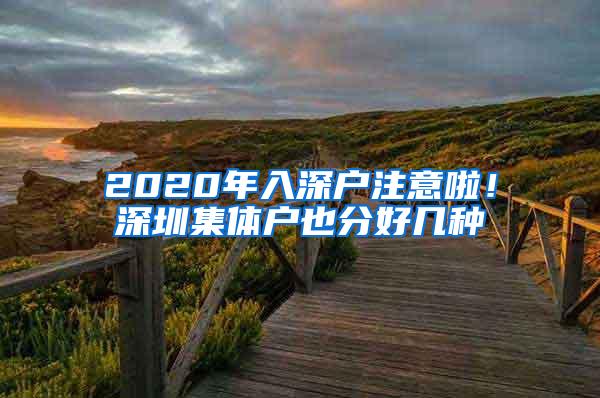 2020年入深户注意啦！深圳集体户也分好几种