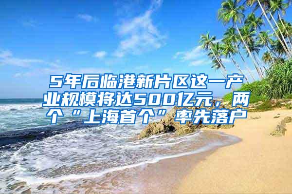 5年后临港新片区这一产业规模将达500亿元，两个“上海首个”率先落户