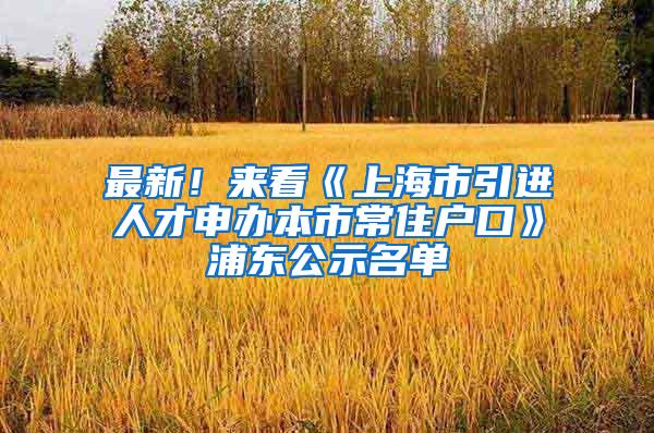 最新！来看《上海市引进人才申办本市常住户口》浦东公示名单