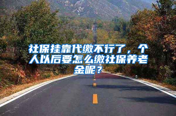 社保挂靠代缴不行了，个人以后要怎么缴社保养老金呢？