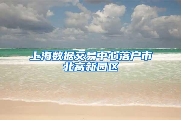 上海数据交易中心落户市北高新园区