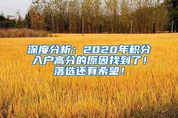 深度分析：2020年积分入户高分的原因找到了！落选还有希望！