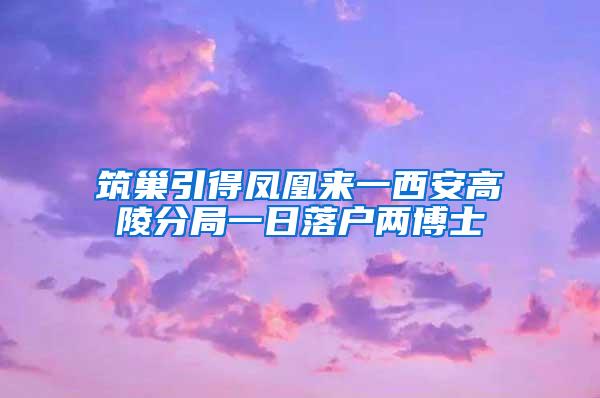 筑巢引得凤凰来一西安高陵分局一日落户两博士