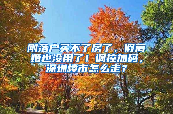 刚落户买不了房了，假离婚也没用了！调控加码，深圳楼市怎么走？