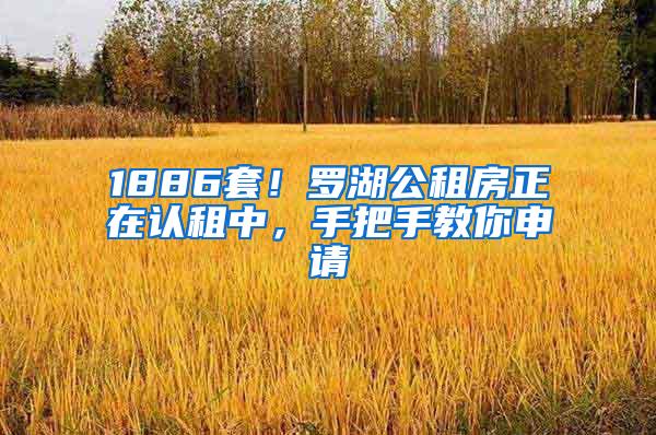 1886套！罗湖公租房正在认租中，手把手教你申请