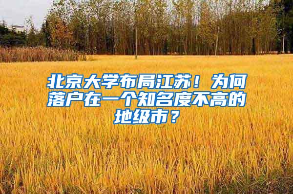 北京大学布局江苏！为何落户在一个知名度不高的地级市？