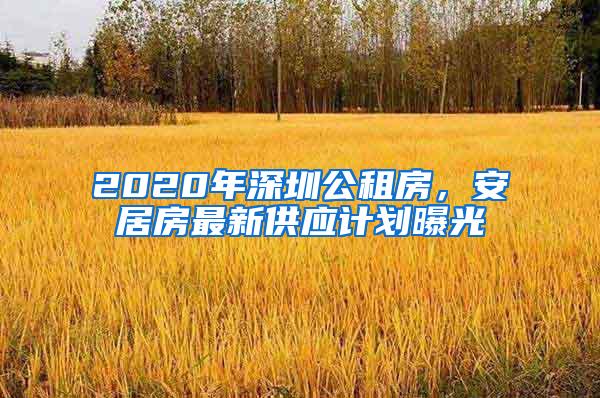 2020年深圳公租房，安居房最新供应计划曝光