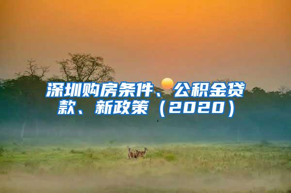 深圳购房条件、公积金贷款、新政策（2020）