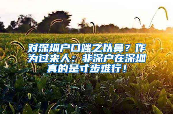 对深圳户口嗤之以鼻？作为过来人：非深户在深圳真的是寸步难行！