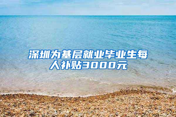 深圳为基层就业毕业生每人补贴3000元