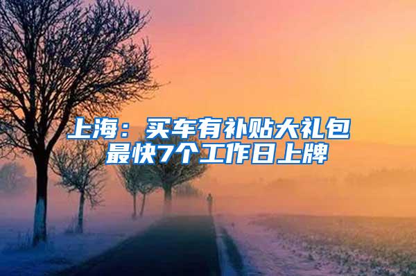 上海：买车有补贴大礼包 最快7个工作日上牌