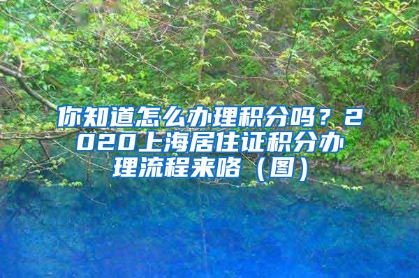 你知道怎么办理积分吗？2020上海居住证积分办理流程来咯（图）