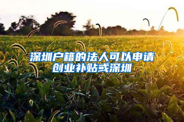 深圳户籍的法人可以申请创业补贴或深圳