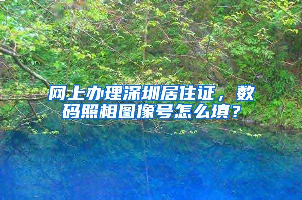 网上办理深圳居住证，数码照相图像号怎么填？